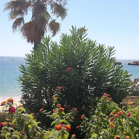 Apartman Luxurious First Floor With Balconies Overlooking Pool And Gardens.